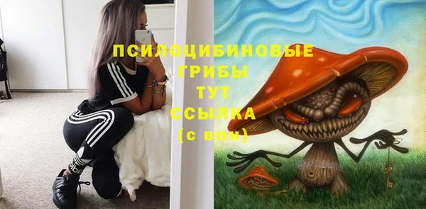 дмт Гатчина