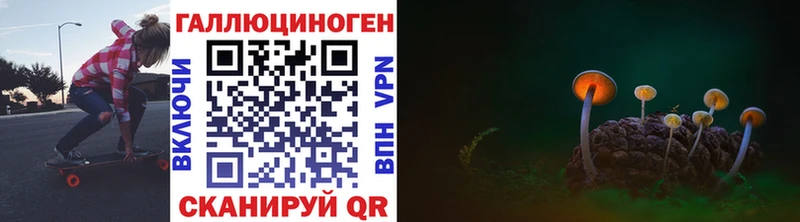 маркетплейс какой сайт Амурск Псилоцибиновые грибы GOLDEN TEACHER