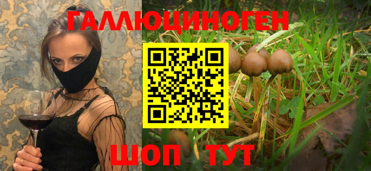 Псилоцибиновые грибы Psilocybe Амурск