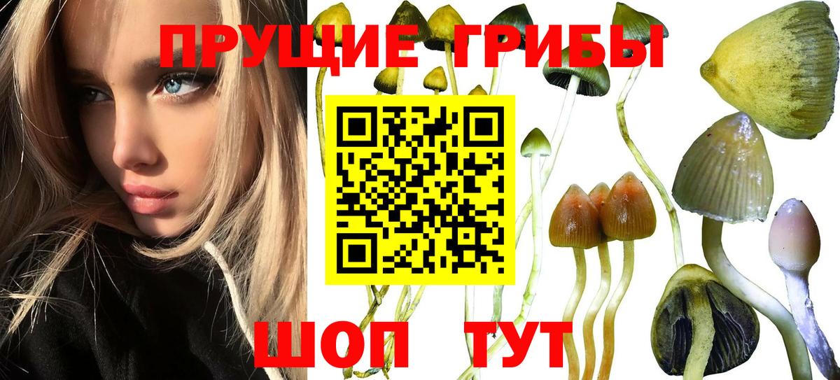 Галлюциногенные грибы мухоморы  Вход с VPN  Амурск 