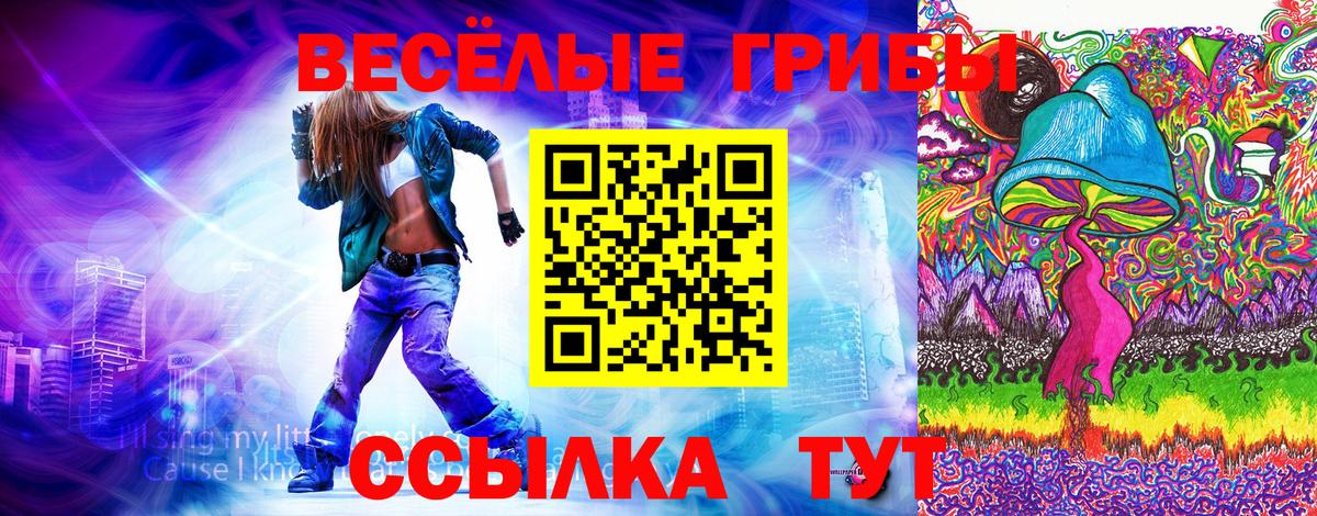 Галлюциногенные грибы Cubensis  Галлюциногенные грибы прущие грибы  Амурск  Вход с VPN 