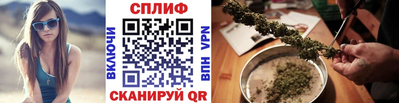 купить   Амурск  Каннабис Amnesia 